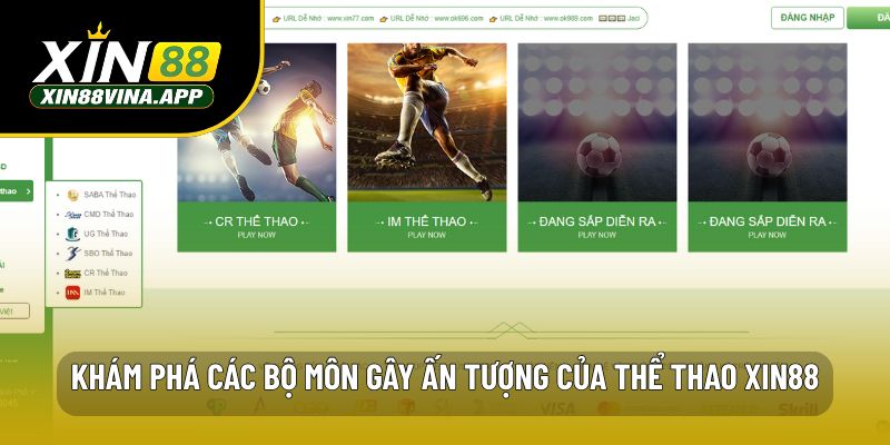 Khám phá các bộ môn gây ấn tượng của thể thao XIN88