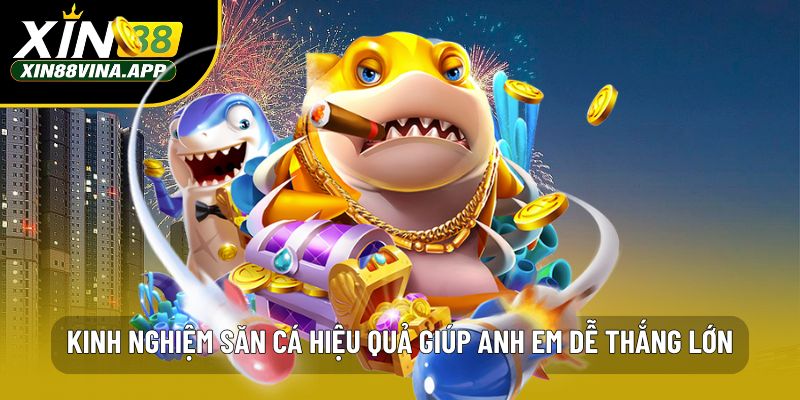 Kinh nghiệm săn cá hiệu quả giúp anh em dễ thắng lớn